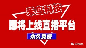 禾鳥科技即將上線直播平臺，永久免費